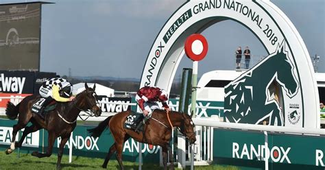 grand national runners and riders for 2019